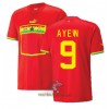 Officiële Voetbalshirt Ghana Ayew 9 Uit Jordan WK 2022 - Heren